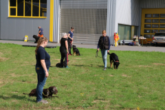 IMG_7704