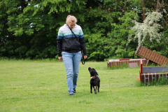 IMG_0063