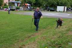 IMG_0529