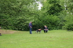 IMG_0541