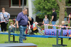 IMG_0590