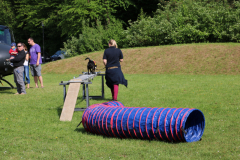 IMG_1042