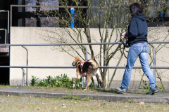 IMGP6571