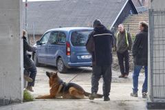 IMGP6270